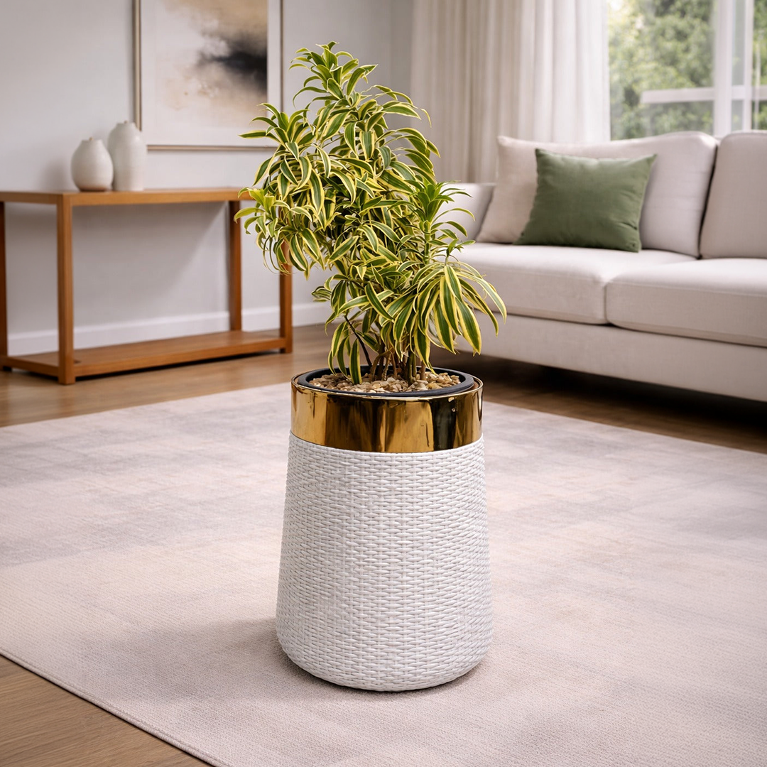 Song of India in Luxe Grande Planter