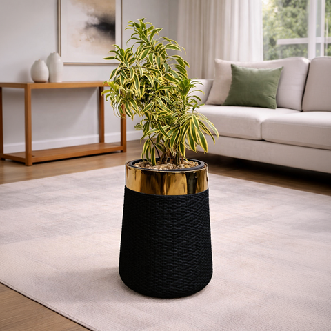 Song of India in Luxe Grande Planter