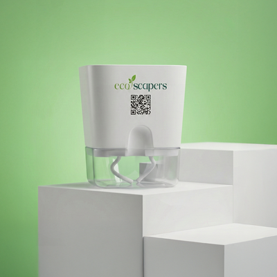 Square Self Watering Pot