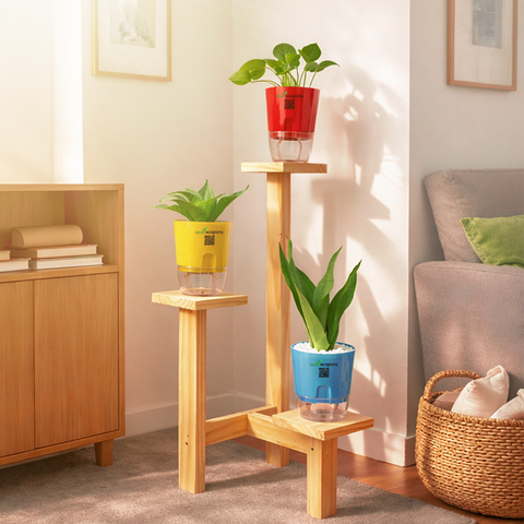 Urban Trio Plant Stand 3-Tier Wooden Display