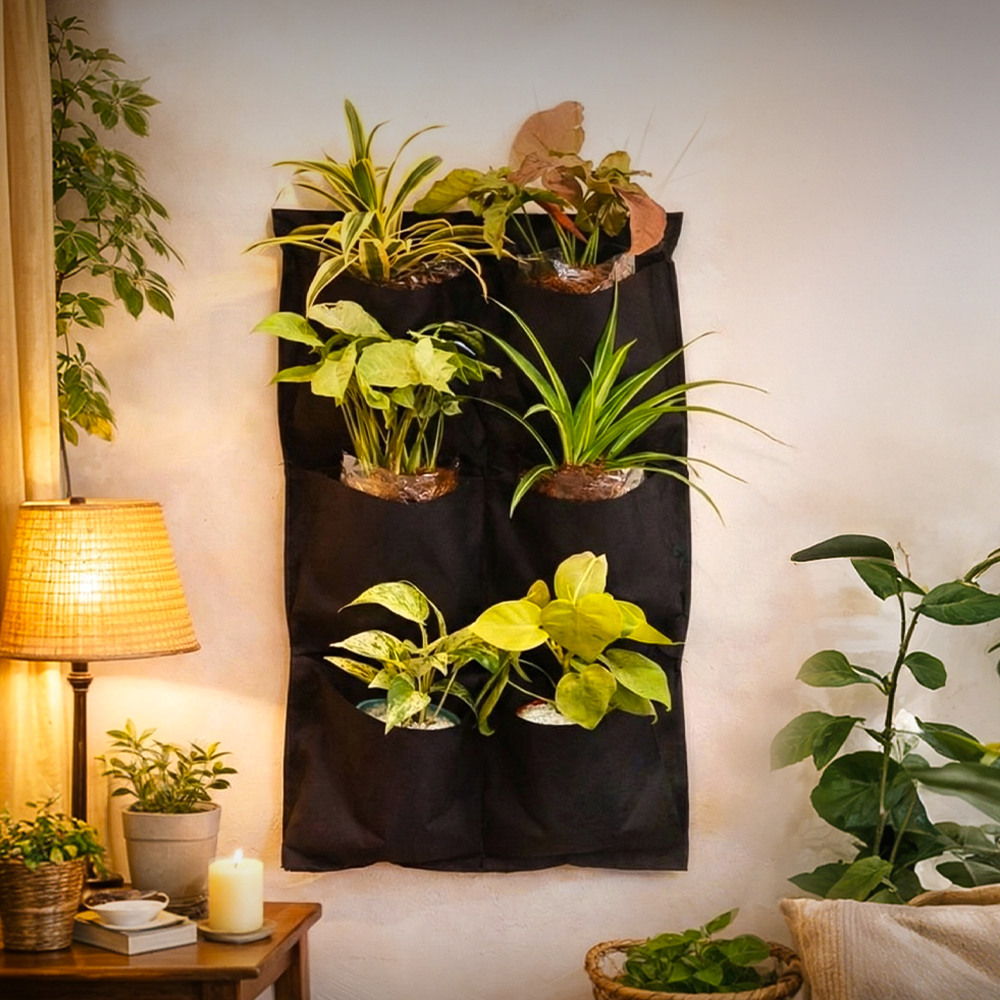 Karachi Wall Planters Special