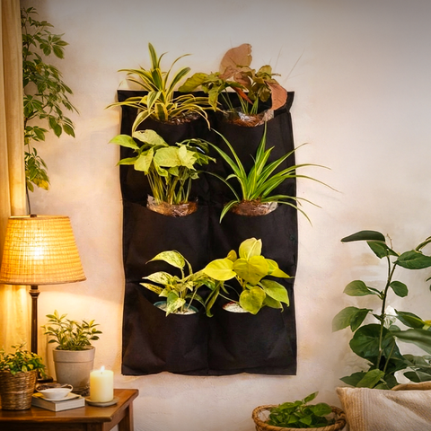 Karachi Wall Planters Special