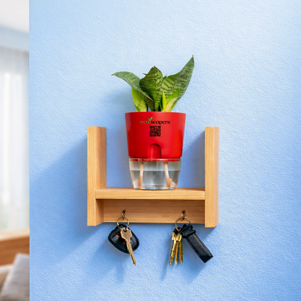 Ecoscapers Wall Planter Shelf with Key Holder