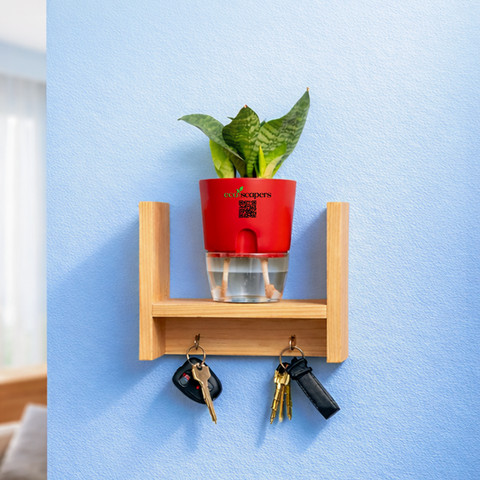 Ecoscapers Wall Planter Shelf with Key Holder