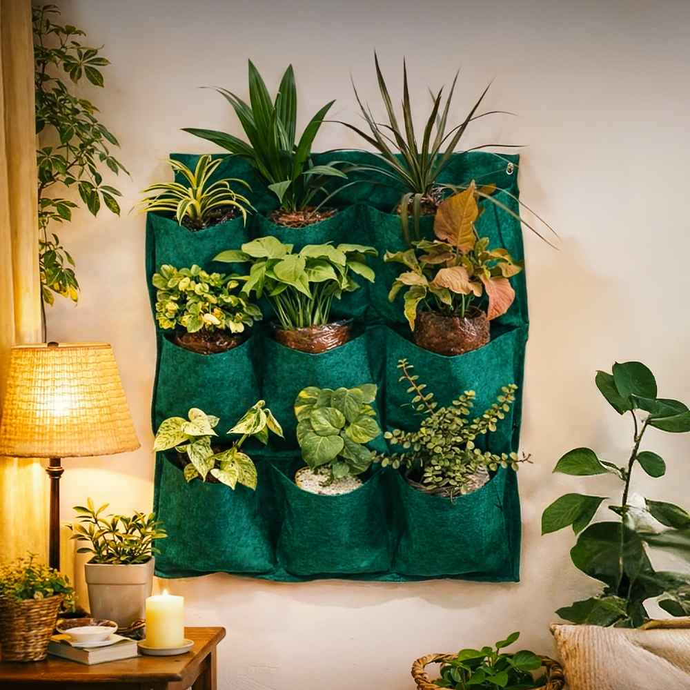 Karachi Hanging Planters Special