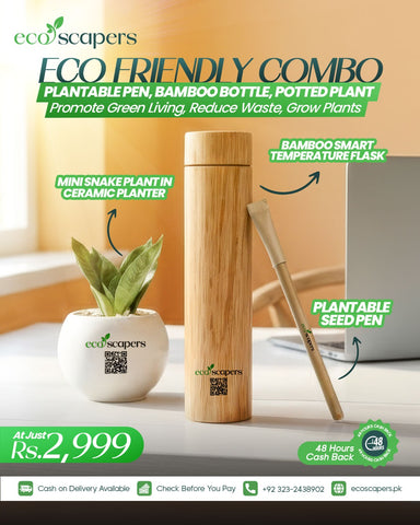 Eco Friendly Combo