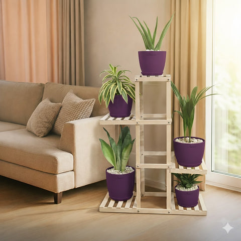 Indoor Green Living Combo Plants Pots & Wooden Stand