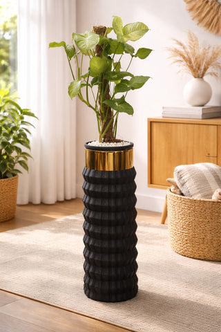 Syngonium Pink in Capsule Planter