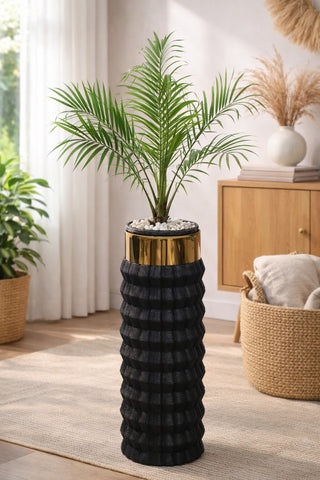 Phoenix Palm in Capsule Planter