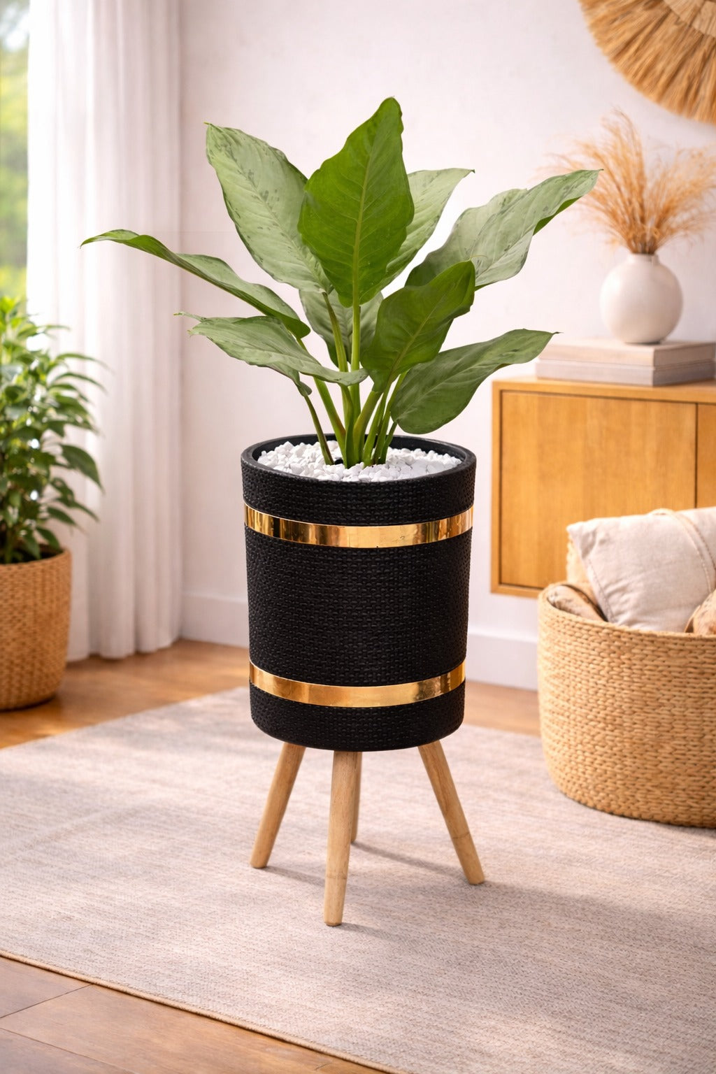 AGLONEMIA GREEN – Luxury Planter Combo