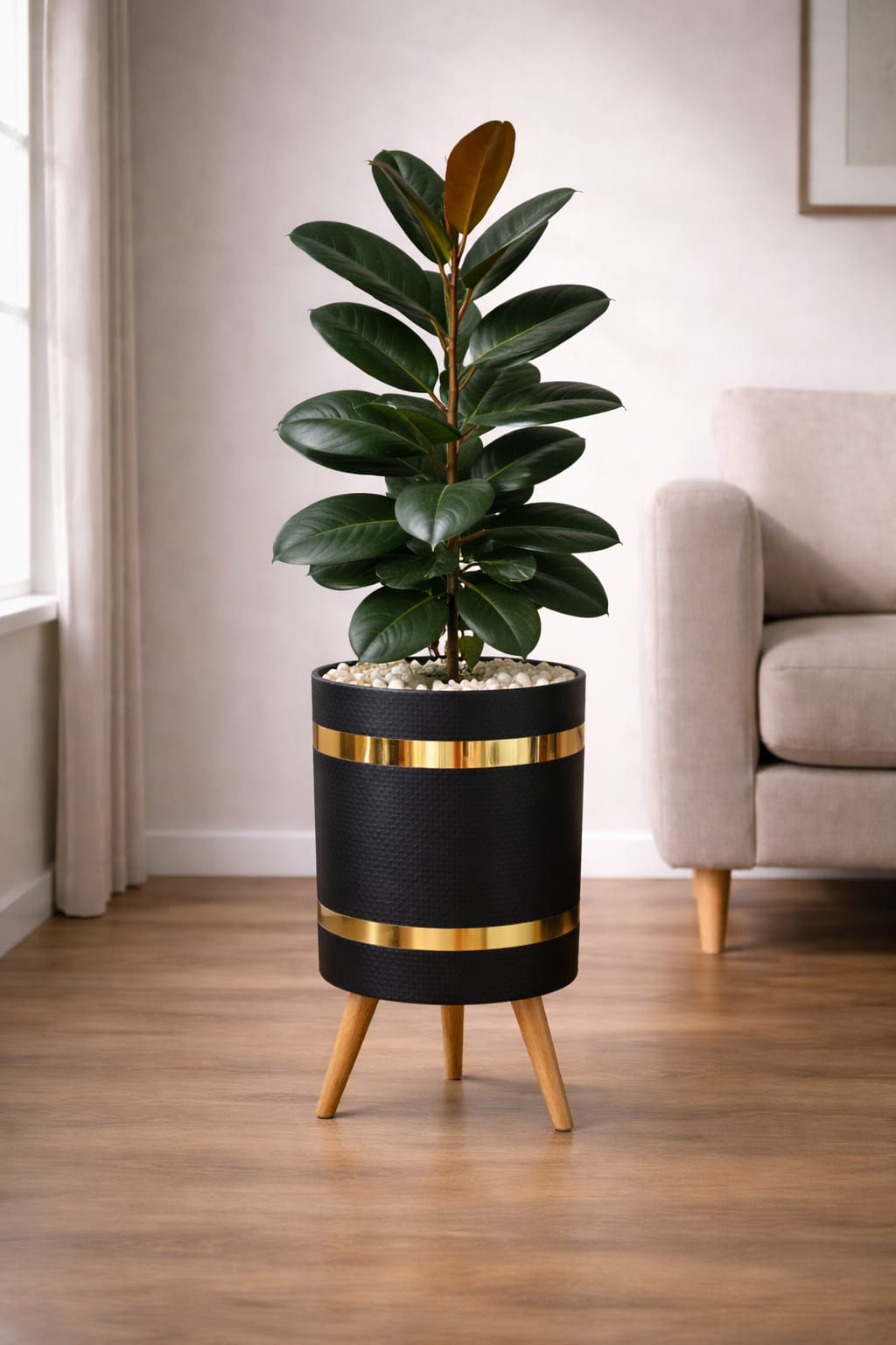 RUBBER PLANT – Luxury Stand Planter Combo