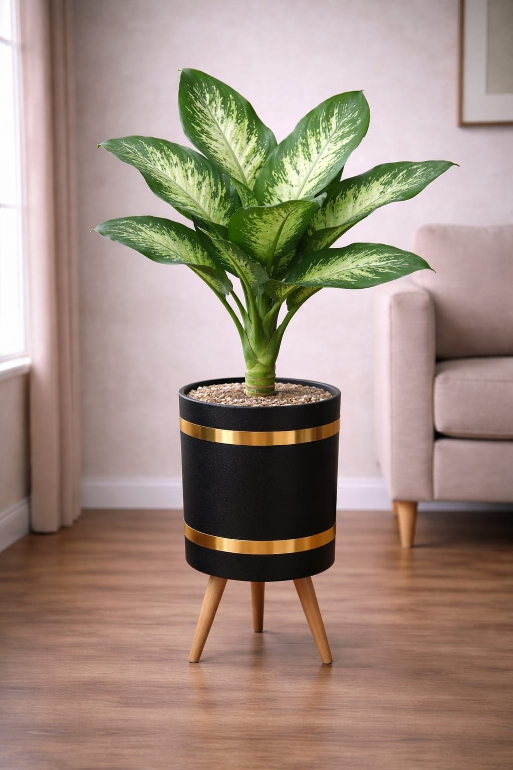 Dieffenbachia – Luxury Stand Planter Combo