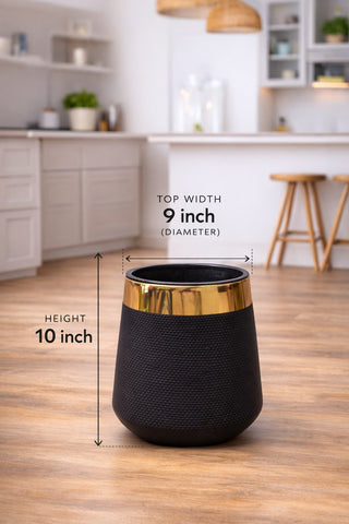 Snake Sansevieria trifasciata – Green Luxury Stand Planter Combo