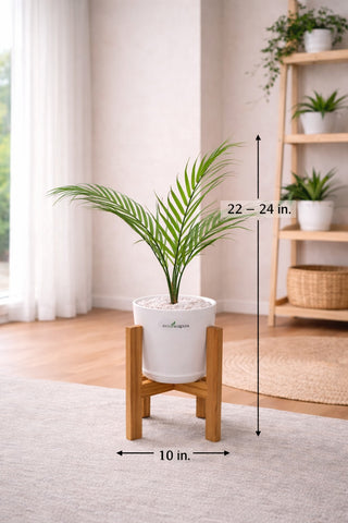Lifelike Parlor Palm with Wooden Stand | Indoor Plant Décor Pakistan