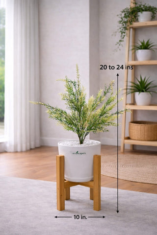Lifelike Fern (Cream & Green) with Wooden Stand | Indoor Plant Décor Pakistan