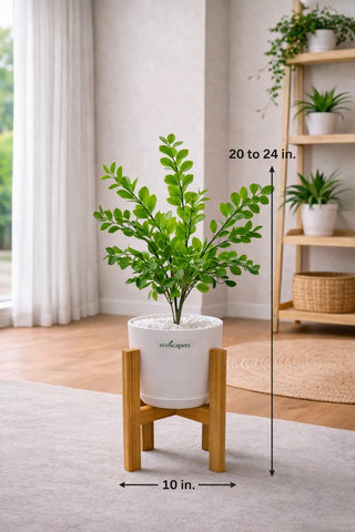 Lifelike Ficus (Light Green) with Wooden Stand | Indoor Plant Décor Pakistan