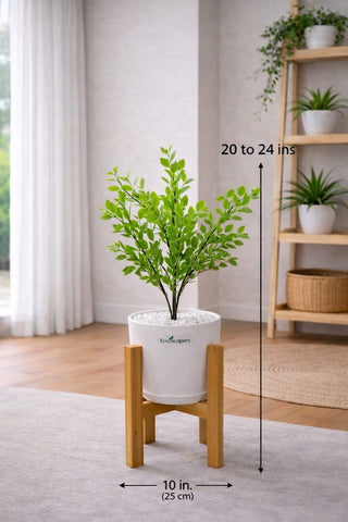 Lifelike Ficus (Light Green) with Wooden Stand | Indoor Plant Décor Pakistan