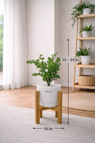 Lifelike Ficus (Light Green) with Wooden Stand | Indoor Plant Décor Pakistan