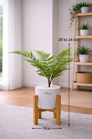 Lifelike Fern (Cream & Green) with Wooden Stand | Indoor Plant Décor Pakistan
