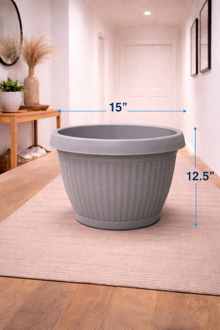Croton Plant in Roma Ribbed Planter