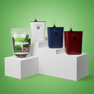 Self Watering Roxtar Pots Combo