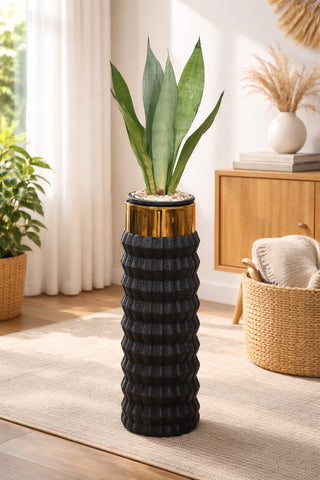 Snake Sansevieria Moonlight – Luxury Stand Planter Combo