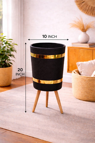 AGLONEMIA GREEN – Luxury Planter Combo