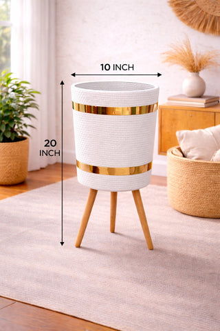 AGLONEMIA GREEN – Luxury Planter Combo