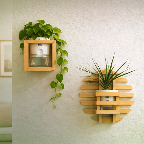 Wooden Wall Planter Combo