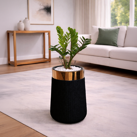 ZZ Plant in Luxe Grande Planter