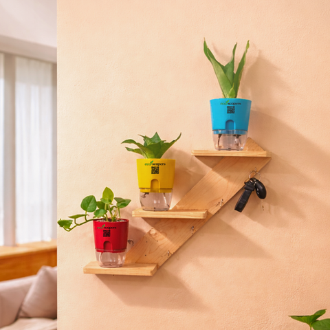Ecoscapers Zigzag Wall Planter Shelf