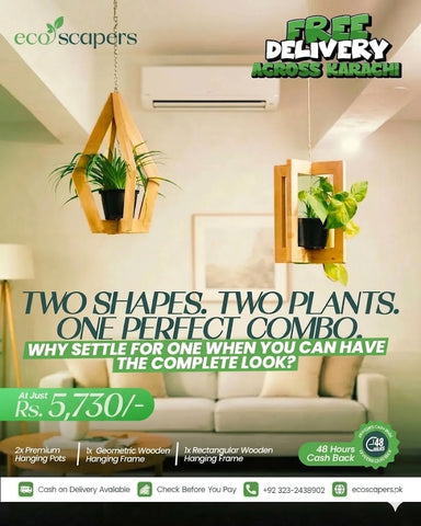 Wooden Hanging Planter Combo