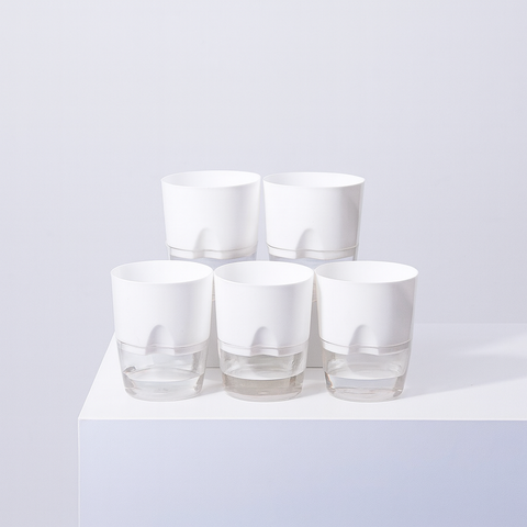 Set of 5 Self Watering Pot (Without Plant)