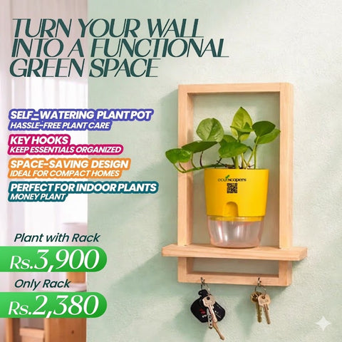 Ecoscapers Wall Planter Shelf with Key Holder