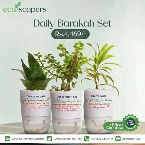Daily Barakah Set Self-Watering Dua Pots (Set of 3)